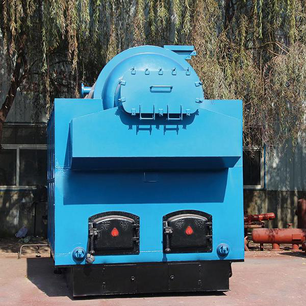 生物質(zhì)節(jié)能蒸汽鍋爐有那些類型？